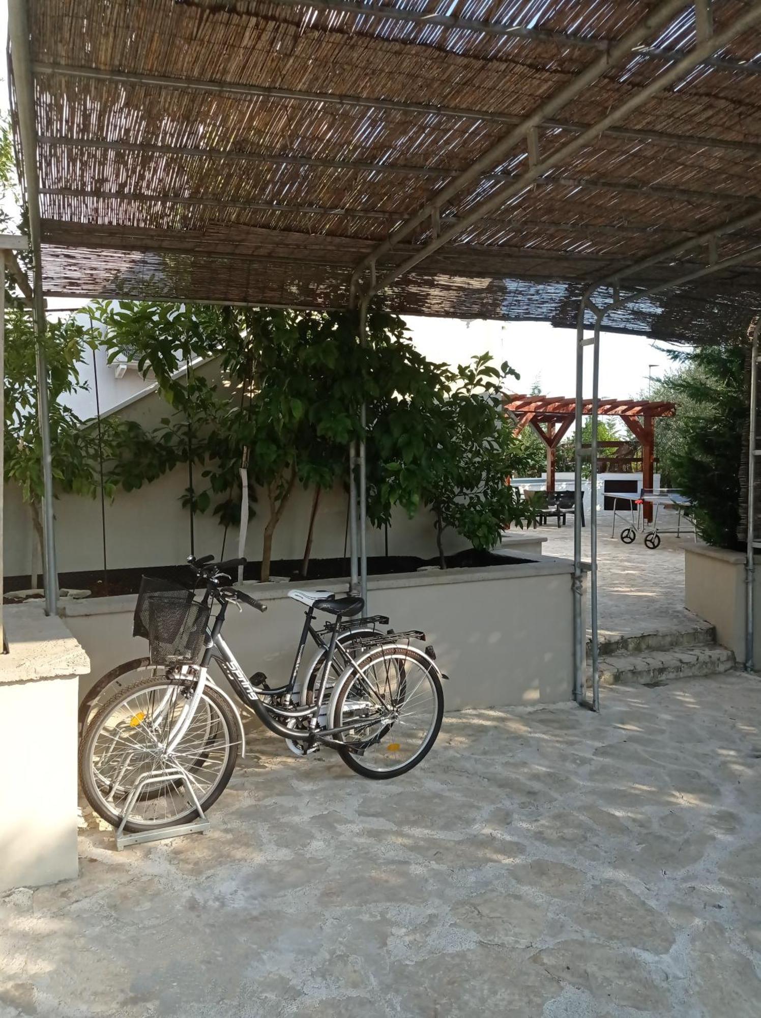 Villa Niko With Private Swimming Pool Zadar Exterior photo